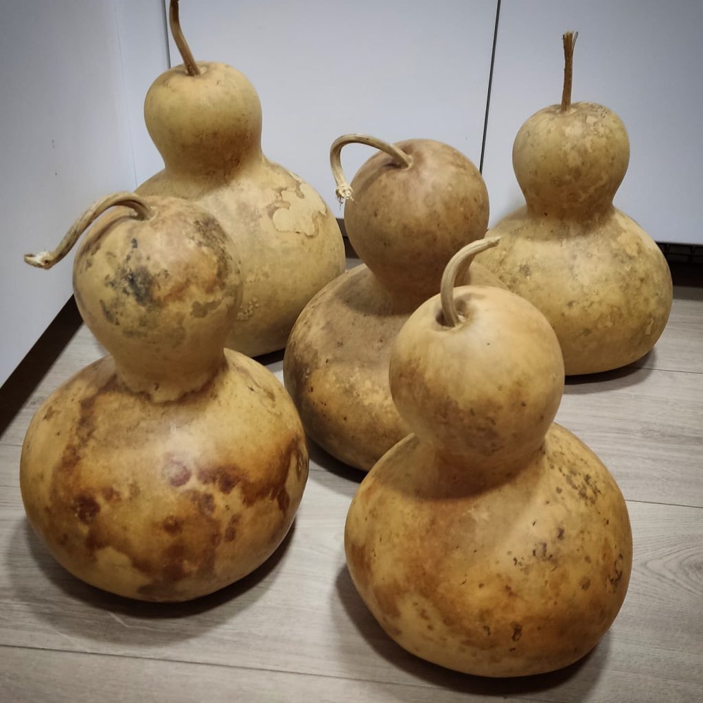 DameCalabazas, calabazas, artesania, hecho a mano, arte, único, original, música, instrumentos, percusión, agbe, agbê, xequere, xequerê, shekere, chequere, maracatu, afoxé, axatsé, coco, samba, naçao, bloko, camdomblé, baque virado, batucada, lampara, lámpara, decoración, deco, artesanal, calabash, led, usb, color, sukabağı, susak, kabak, hucha, mate, casa de pájaros, casita, maraca, infantil, regalo, rustico, restauración, gourds, gourd, pumpkins, arthandler, handmade, artworks, art, handcrafts, crafts, unique, only one, original, music, instruments, percussion, agbe, agbê, xequere, xequerê, shekere, chequere, maracatu, afoxé, axatsé, coco, samba, naçao, bloko, camdomblé, gourdlamp, lamp, decoration, led, usb, color, piggybank, moneybox, mate, home, house, children, child, gift, present, rustik, restauration,